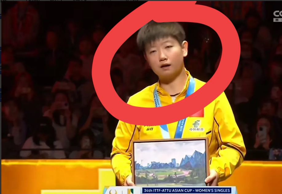 开云体育APP下载包含莎拉波娃重返赛场，败北首场状态出色，阿森纳观众沸腾！的词条